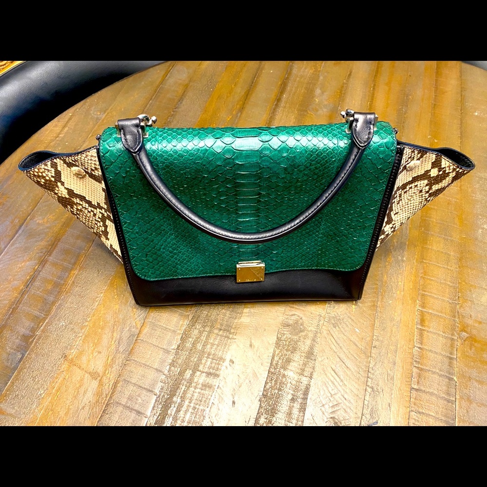 Celine Python Trapeze Bag